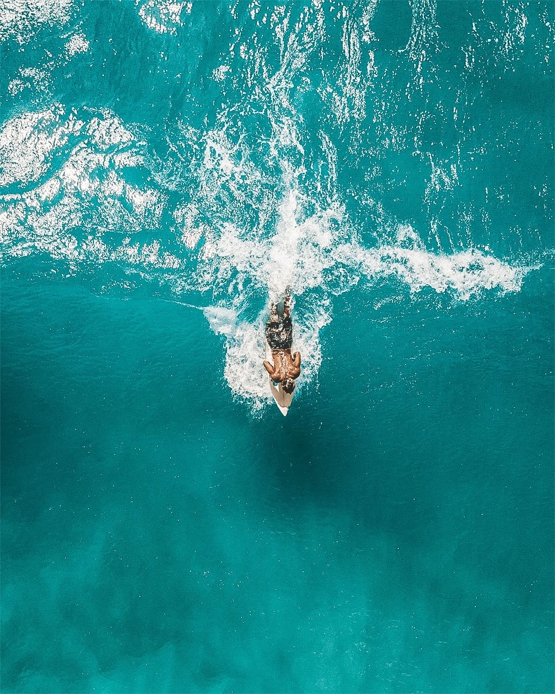 Bloom Puerto Aventuras | Departamentos frente al mar en Venta play investments COMUNIDAD PUERTO AVENTURAS17-min