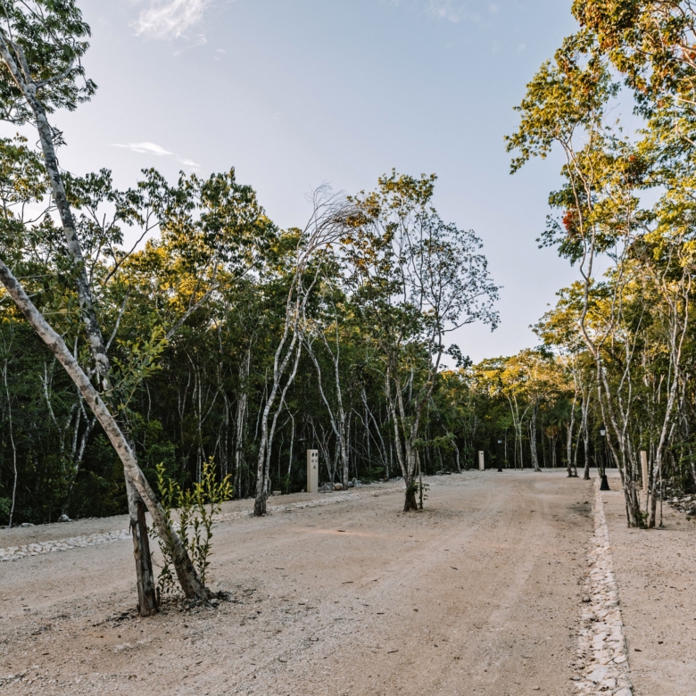 Lotes en venta en Tulum – Play Investments Real Estate México Inversión inmobiliaria en Tulum con gran plusvalía – Play Investments Real Estate México