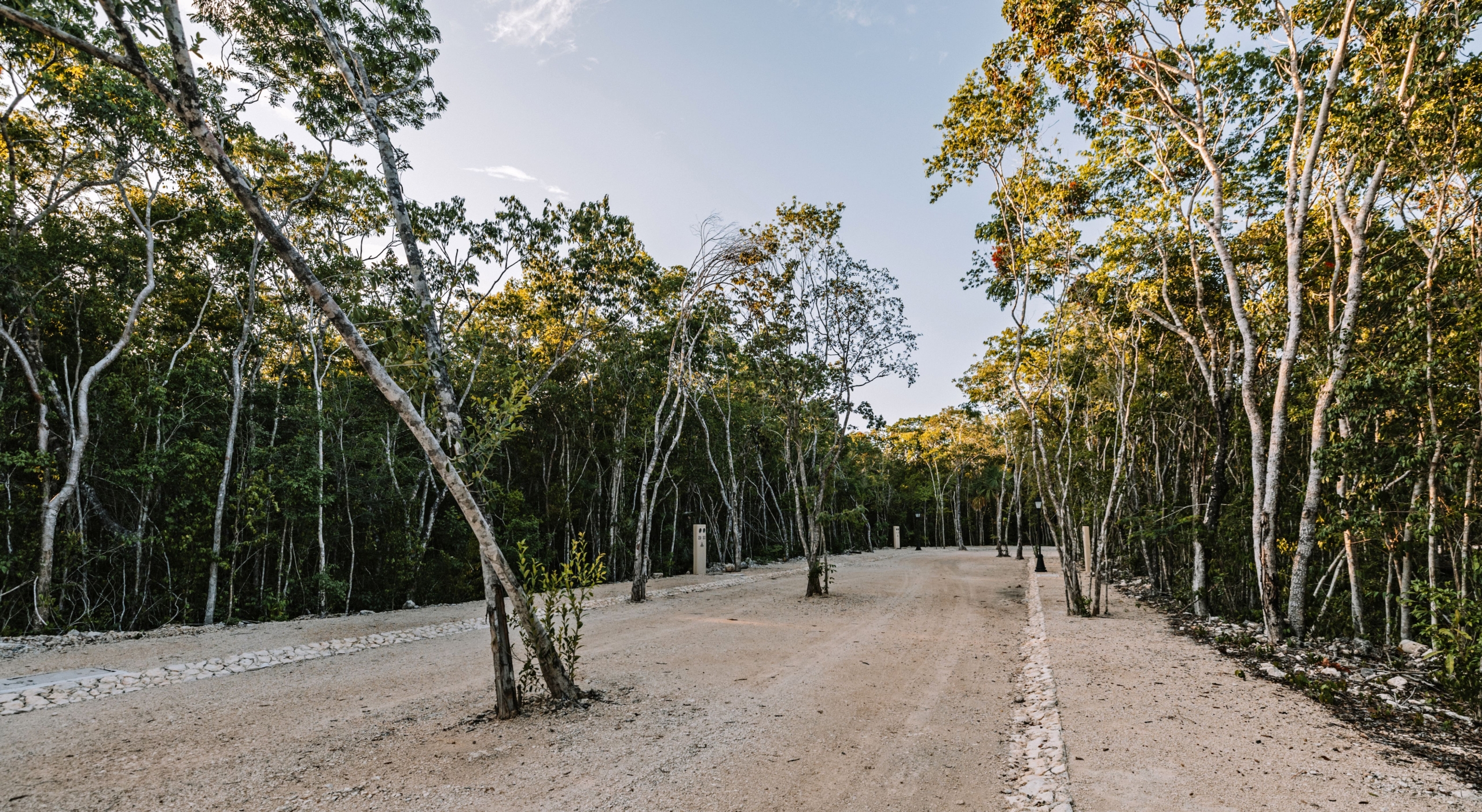 Lotes en venta en Tulum – Play Investments Real Estate México Inversión inmobiliaria en Tulum con gran plusvalía – Play Investments Real Estate México