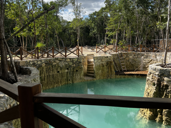 RUTA SELVA URBANA PUERTO MOLRELOS LOTES EN VENTA