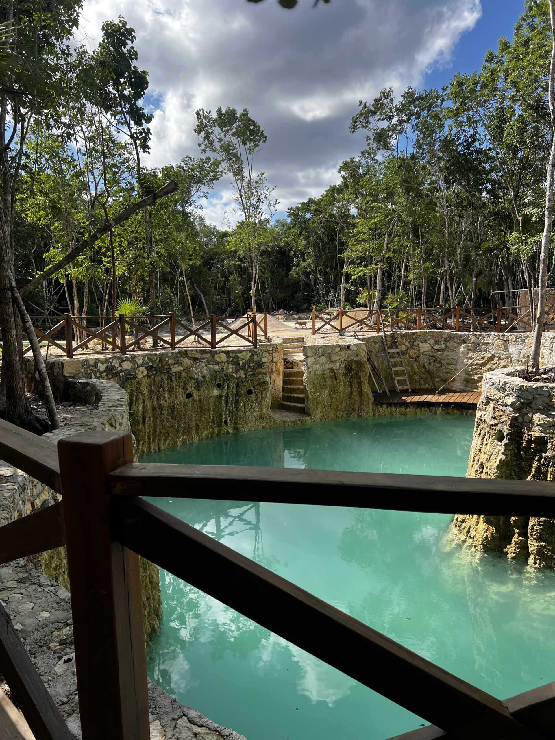 RUTA SELVA URBANA PUERTO MOLRELOS LOTES EN VENTA