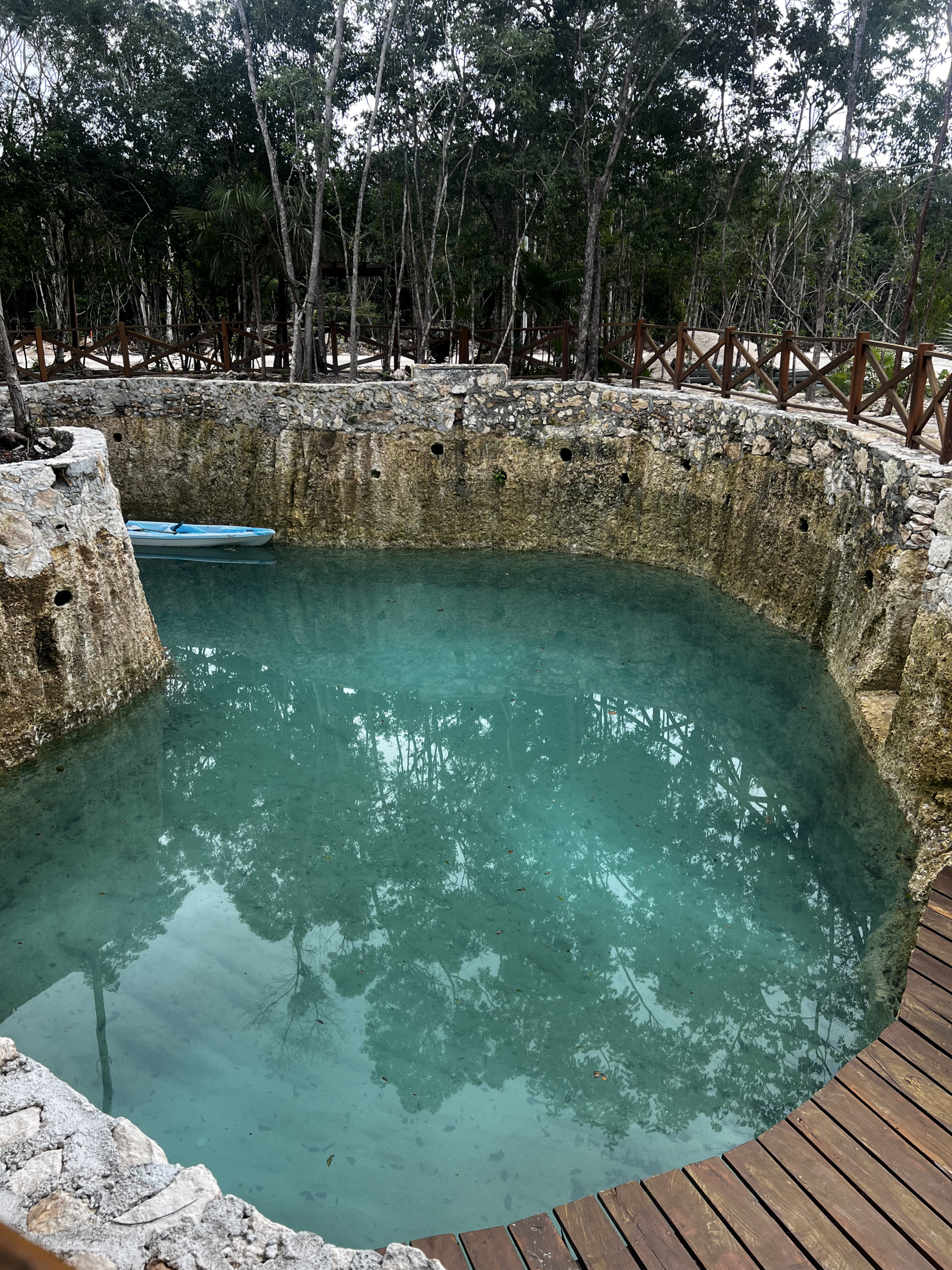 RUTA SELVA URBANA PUERTO MOLRELOS LOTES EN VENTA