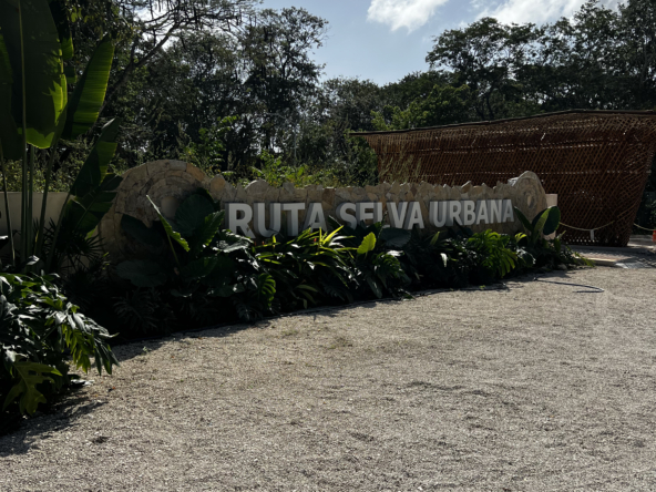 RUTA SELVA URBANA PUERTO MOLRELOS LOTES EN VENTA