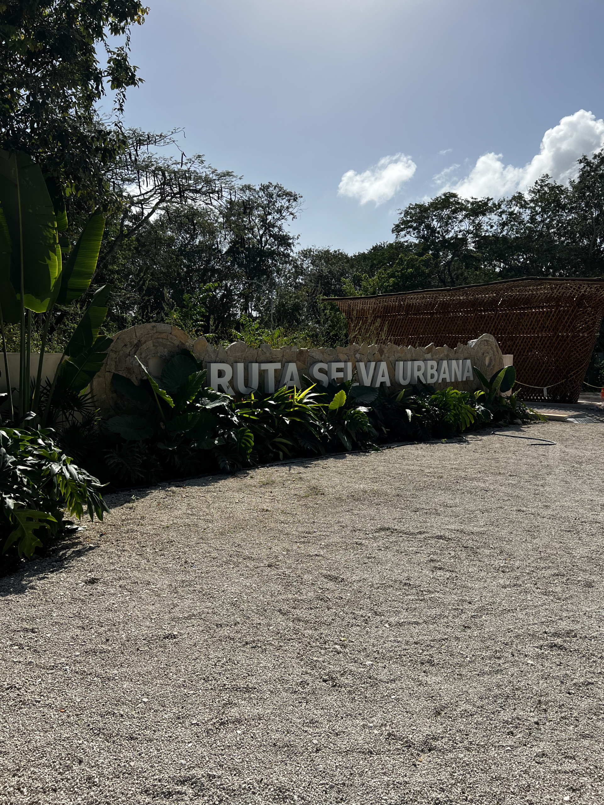 RUTA SELVA URBANA PUERTO MOLRELOS LOTES EN VENTA